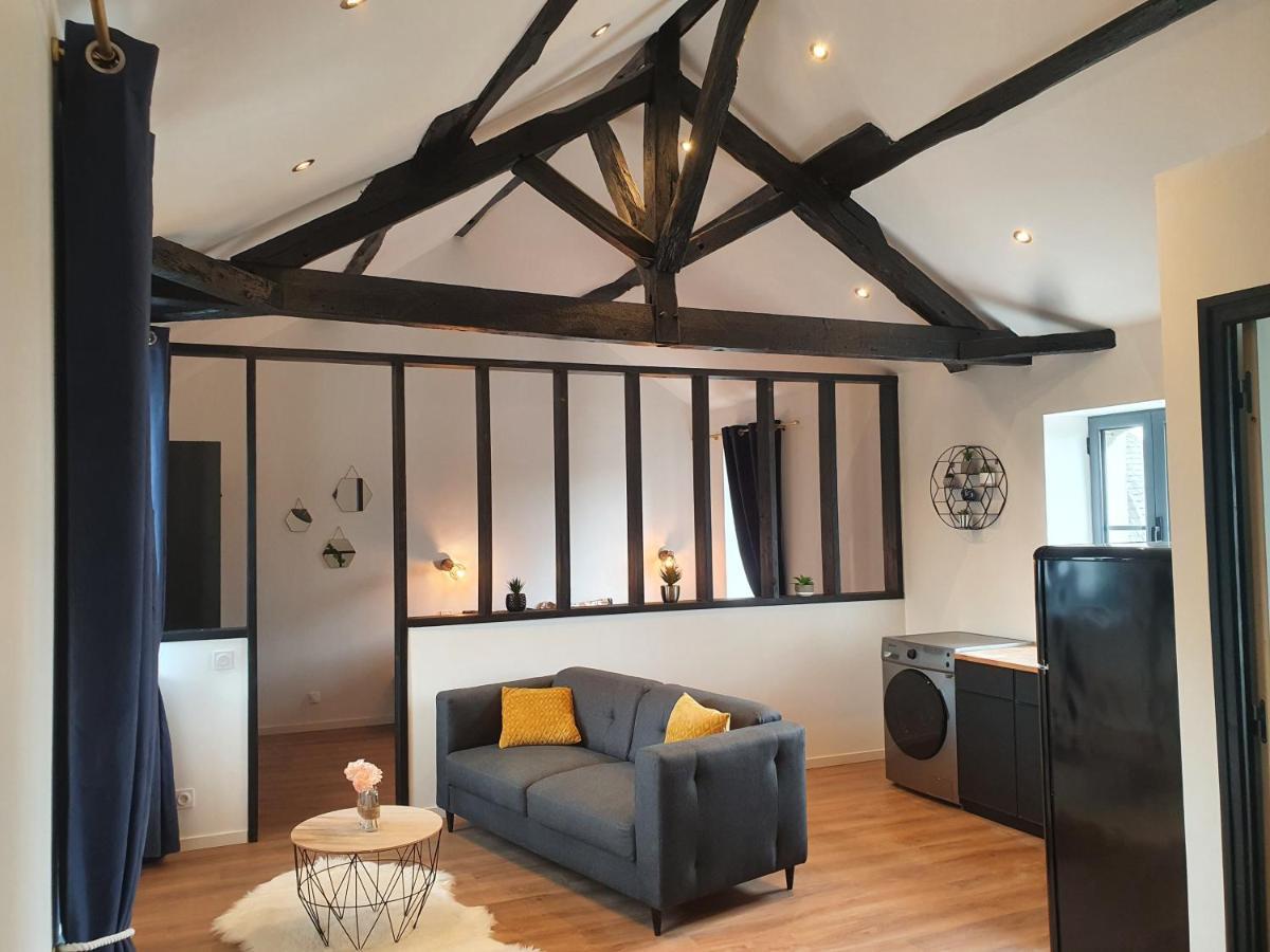 شقة Le Loft De Blossac بواتييه المظهر الخارجي الصورة